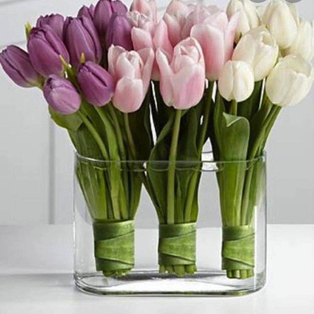 Meet your Posher, Annie